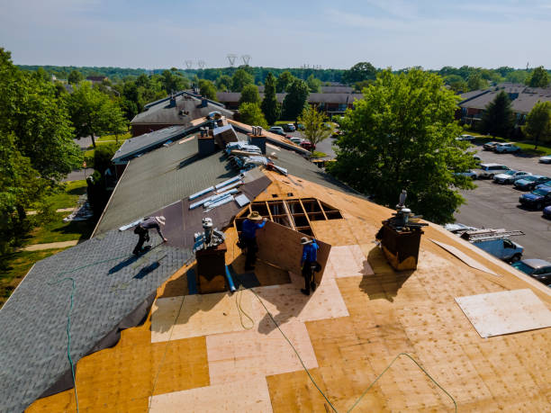 Best Metal Roofing Contractor  in Duncan Falls, OH