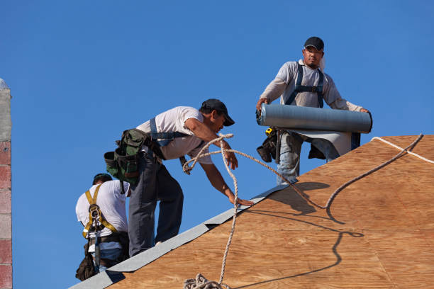 Roof Gutter Cleaning in Duncan Falls, OH