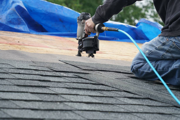 Best Roof Repair Services  in Duncan Falls, OH