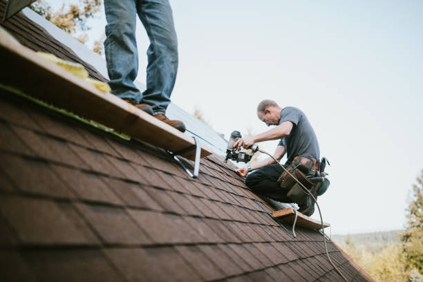 Best Local Roofing Companies  in Duncan Falls, OH